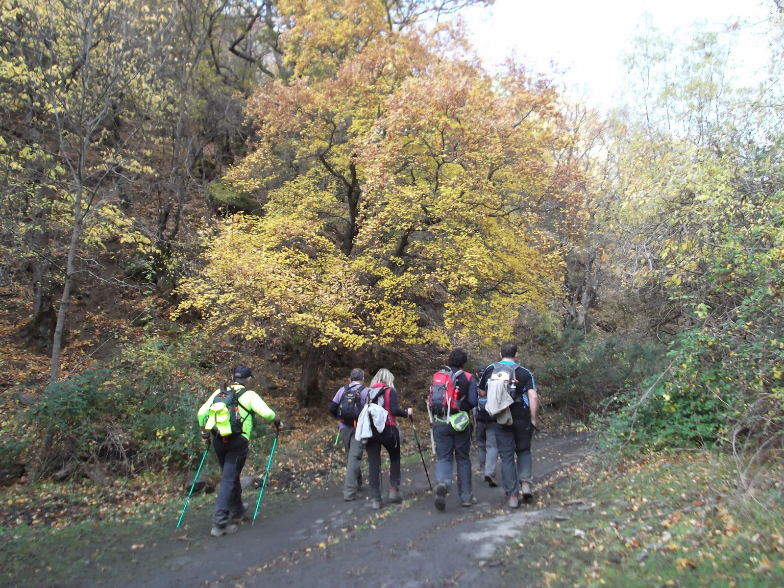 Senderistadelaloma Ruta del Bosque Encantado (Granada) Dehesa del Camarate