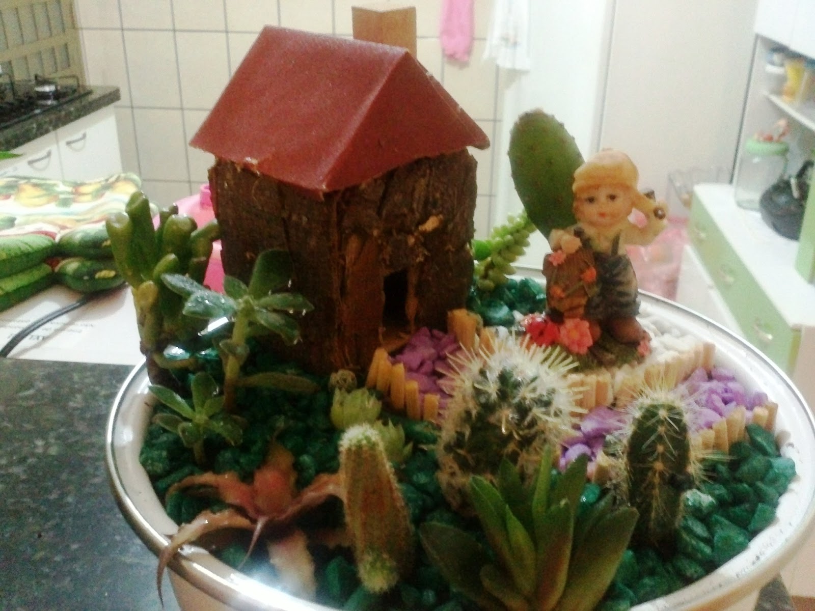mini jardim cactos suculentas:Inovando com Cactos e Suculentas.: Mini Jardim de Cactos e Suculentas mini jardim cactos suculentas:Inovando com Cactos e Suculentas.: Mini Jardim de Cactos e Suculentas