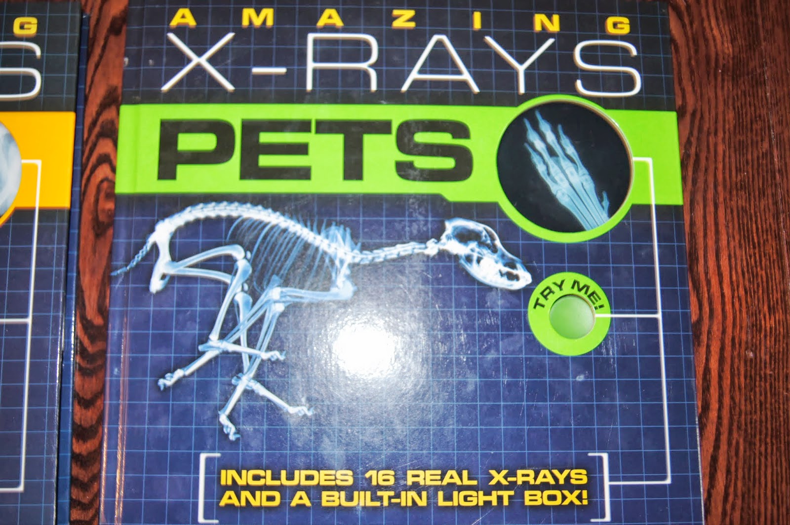 XRay Books For Kids "Making Montessori Ours"