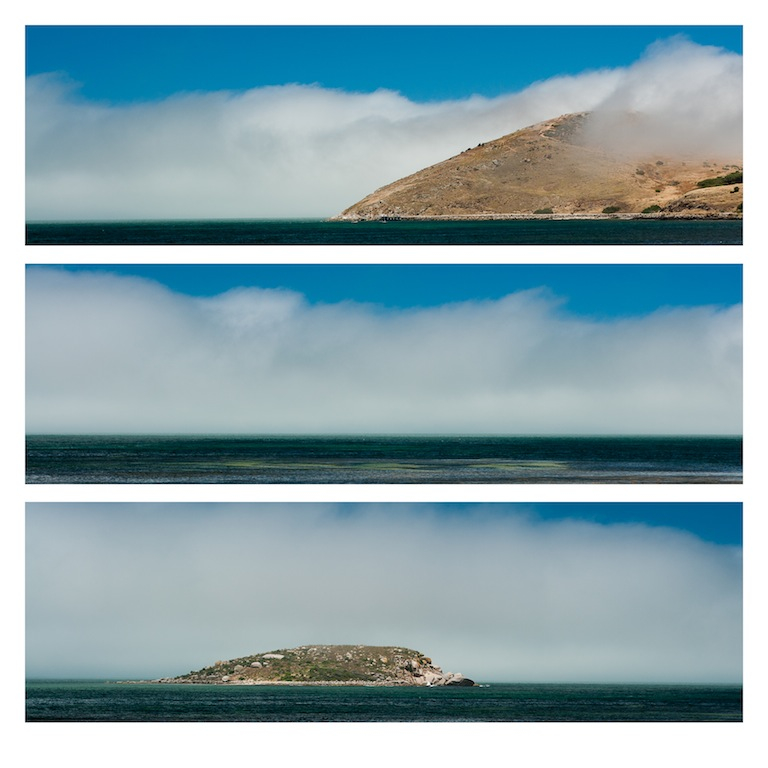  2013   Monthly Competition: Diptych/Triptych