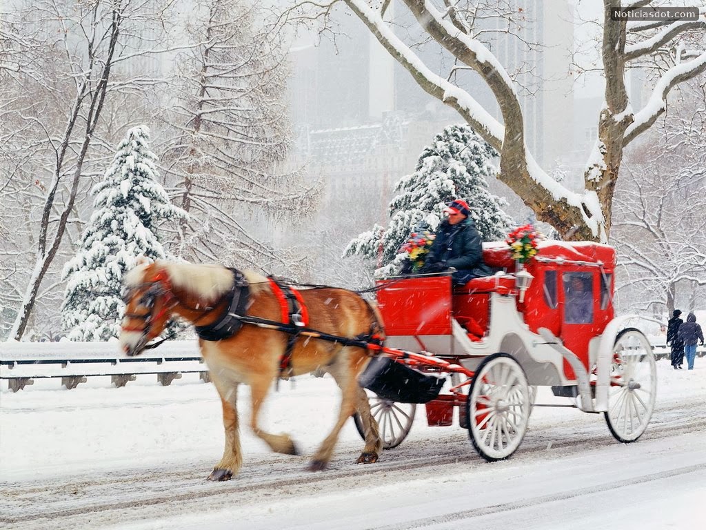 CentralPark_NewYork.jpg (1024&times;768)