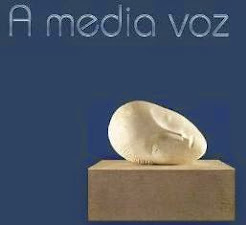 A media voz