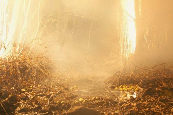 Amelia Bauer fotografia natureza paisagens noturnas misteriosas luzes sobrenaturais Amelia Bauer fotografia natureza paisagens noturnas misteriosas luzes sobrenaturais