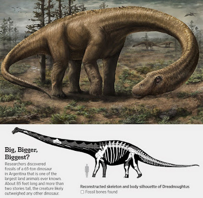 Dreadnoughtus