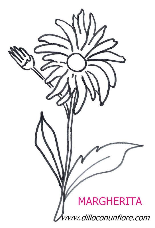 flower coloring pages: Daisy title=