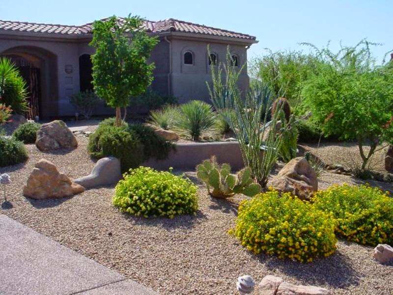 cheap backyard desert landscaping ideas izvipi com cheap backyard desert landscaping ideas izvipi com