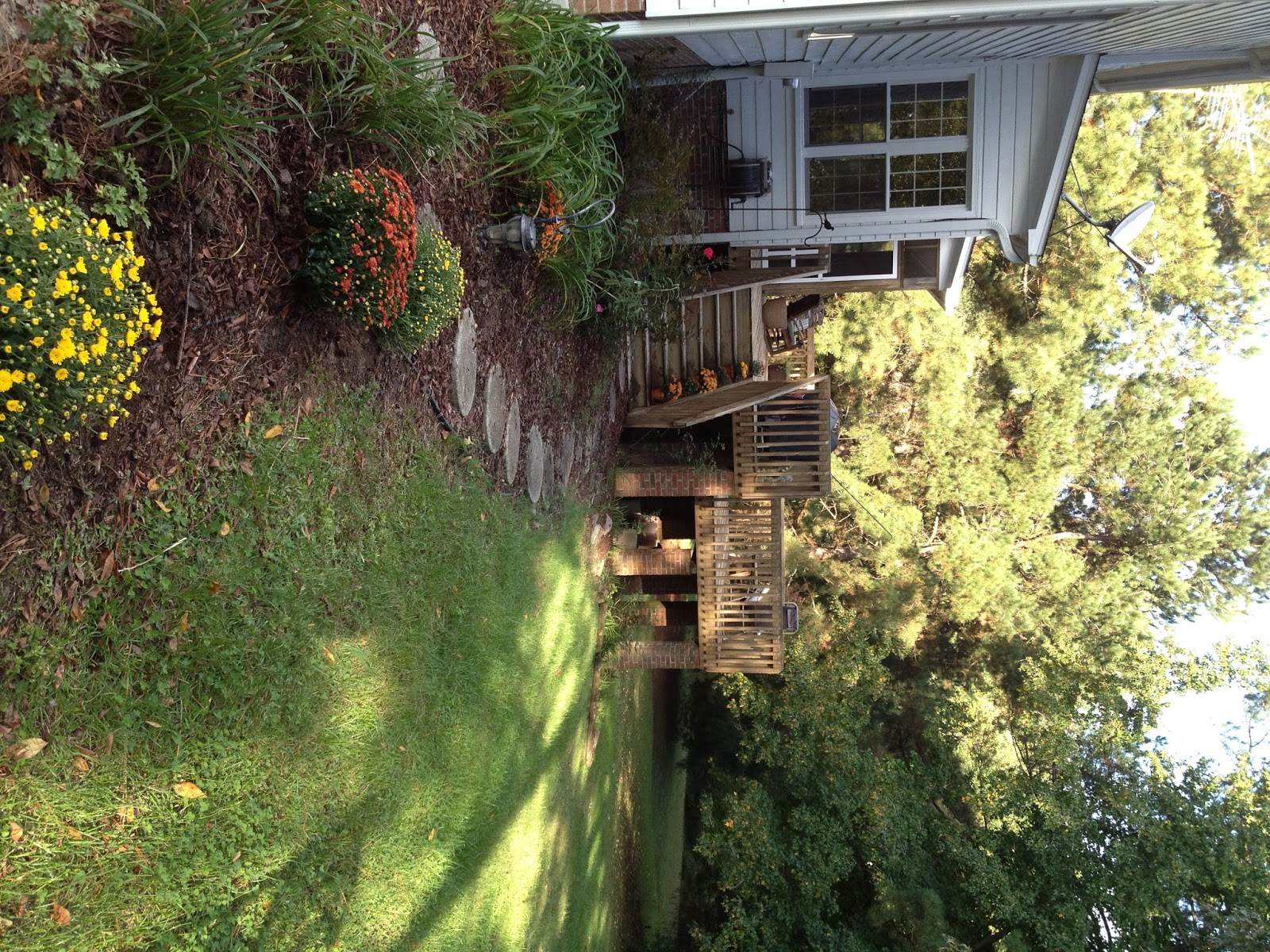 backyard+in+afternoon+sun.JPG (1200×1600) Plants, Backyard, Outdoor decor