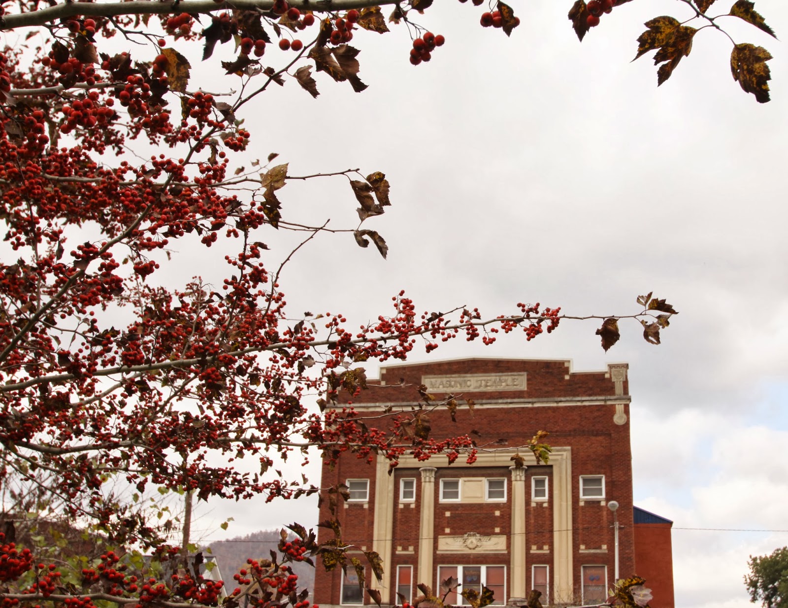 BlueEyed Kentucky Pineville