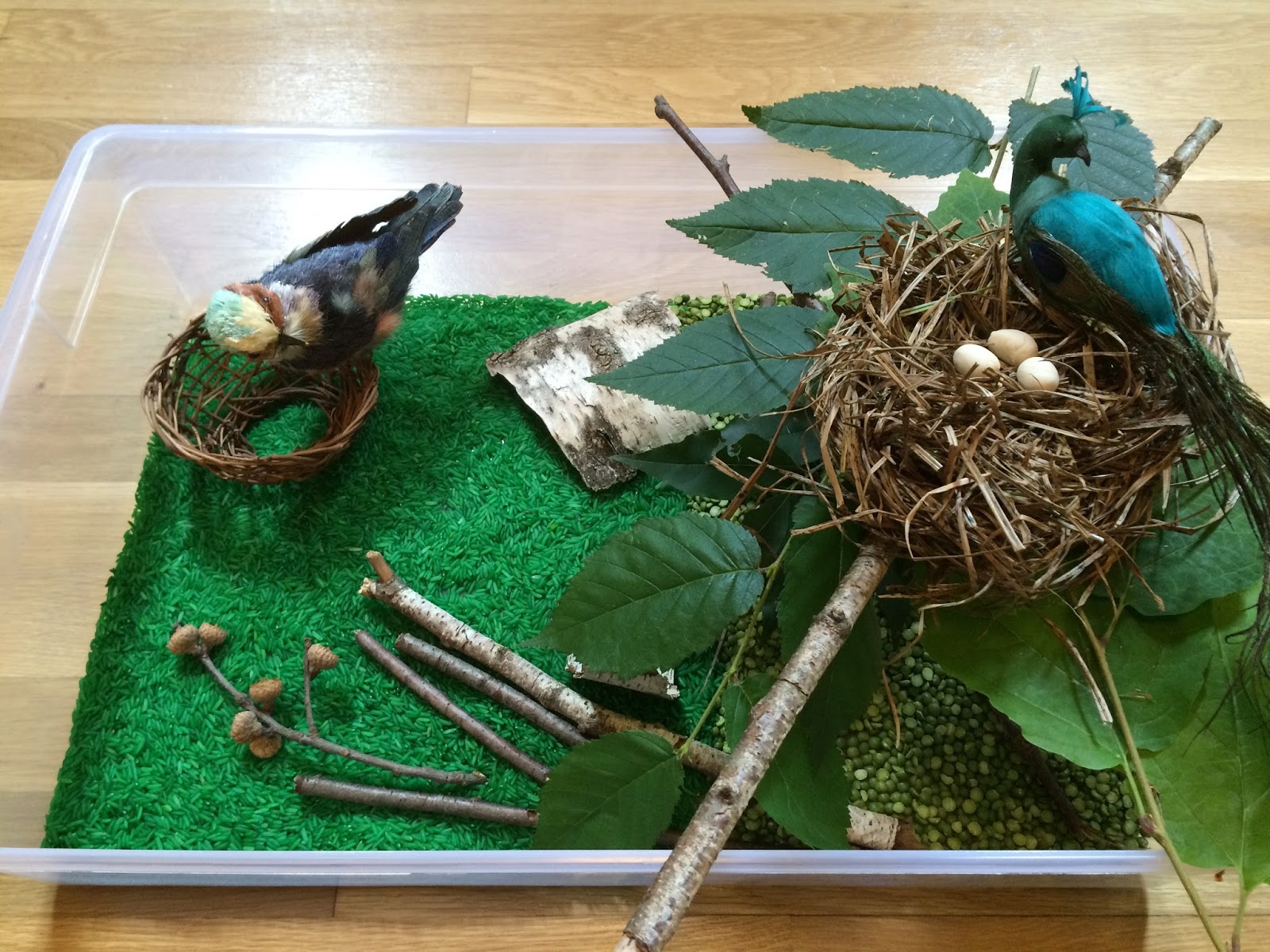 Creative Projects for Kids Bird's Nest Sensory Bin