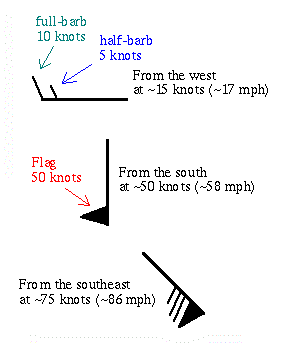 Wind Barb