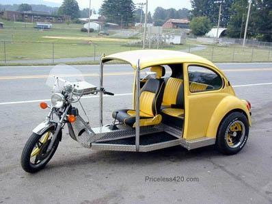 Fusca Engra Ado Funny Beetle thumb