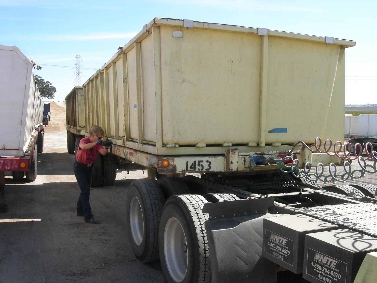 Eclectic Arcania Hauling The Wine Grape Harvest