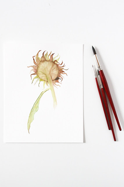 watercolor, sunflowers, autumn, Anne Butera, My Giant Strawberry