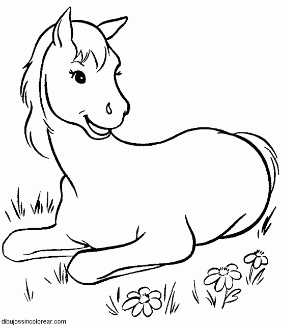 Maestra de Infantil: Animales domésticos para colorear Maestra de Infantil: Animales domésticos para colorear