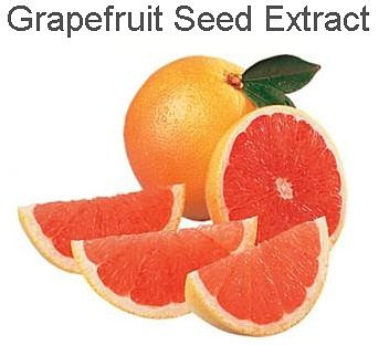 grapefruit seed extract benefits grapefruit seed extract benefits