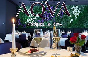 AQVA Hotel & Spa, Раквере, Эстония