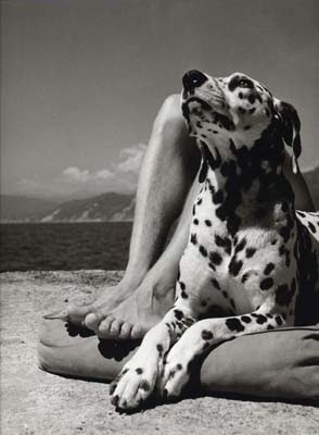 http://4.bp.blogspot.com/-Noa7oqh4ouE/TtO_ZR0RhzI/AAAAAAAAFT0/zKGUwrPt4ak/s400/Hombre%2By%2Bperro%252C%2BPortofino%252C%2B1936%2B%2528Herbert%2BList%2529.jpg