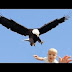 EAGLE SNATCHES KID - Eagle Picks Up Baby, Fake?
