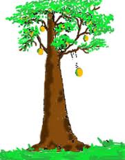 Siska: Gerak Jatuh Bebas (GJB)