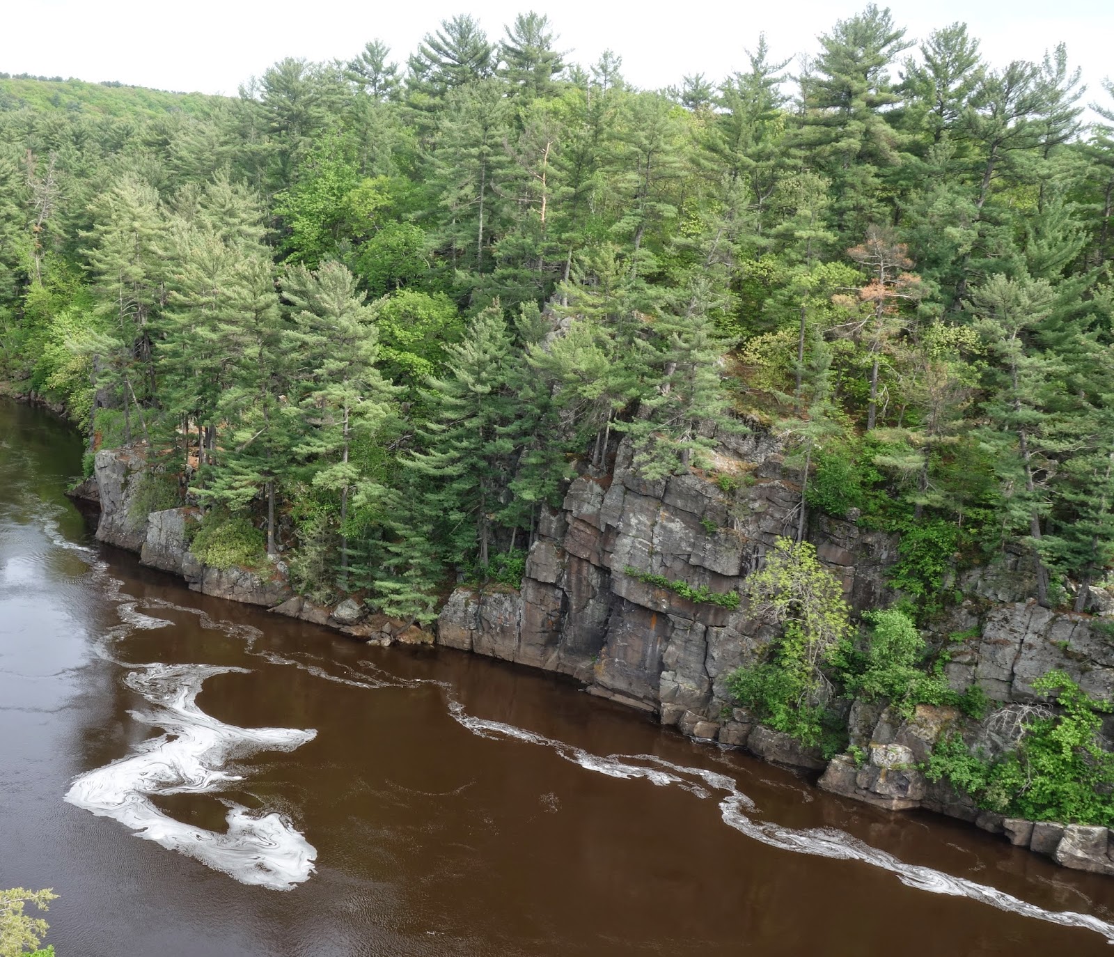 The Wild Reed An Afternoon at Taylors Falls and the Franconia
