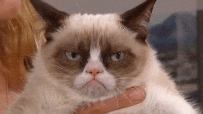 angry+cat.gif
