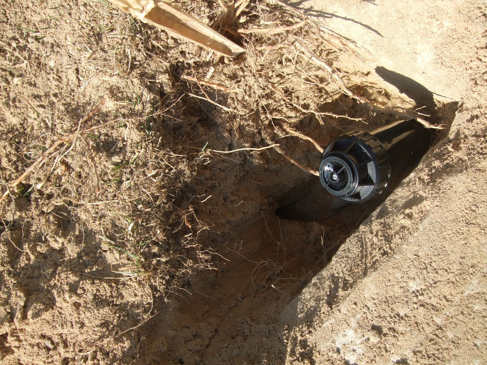 Ayerbe Taller de Empleo Jardineria: Riego por aspersión.