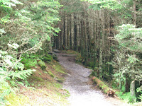 the Ripening, meditation, path, trail