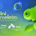 Mini Chameleon