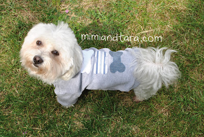 Free Dog Appliques Free Dog Appliques