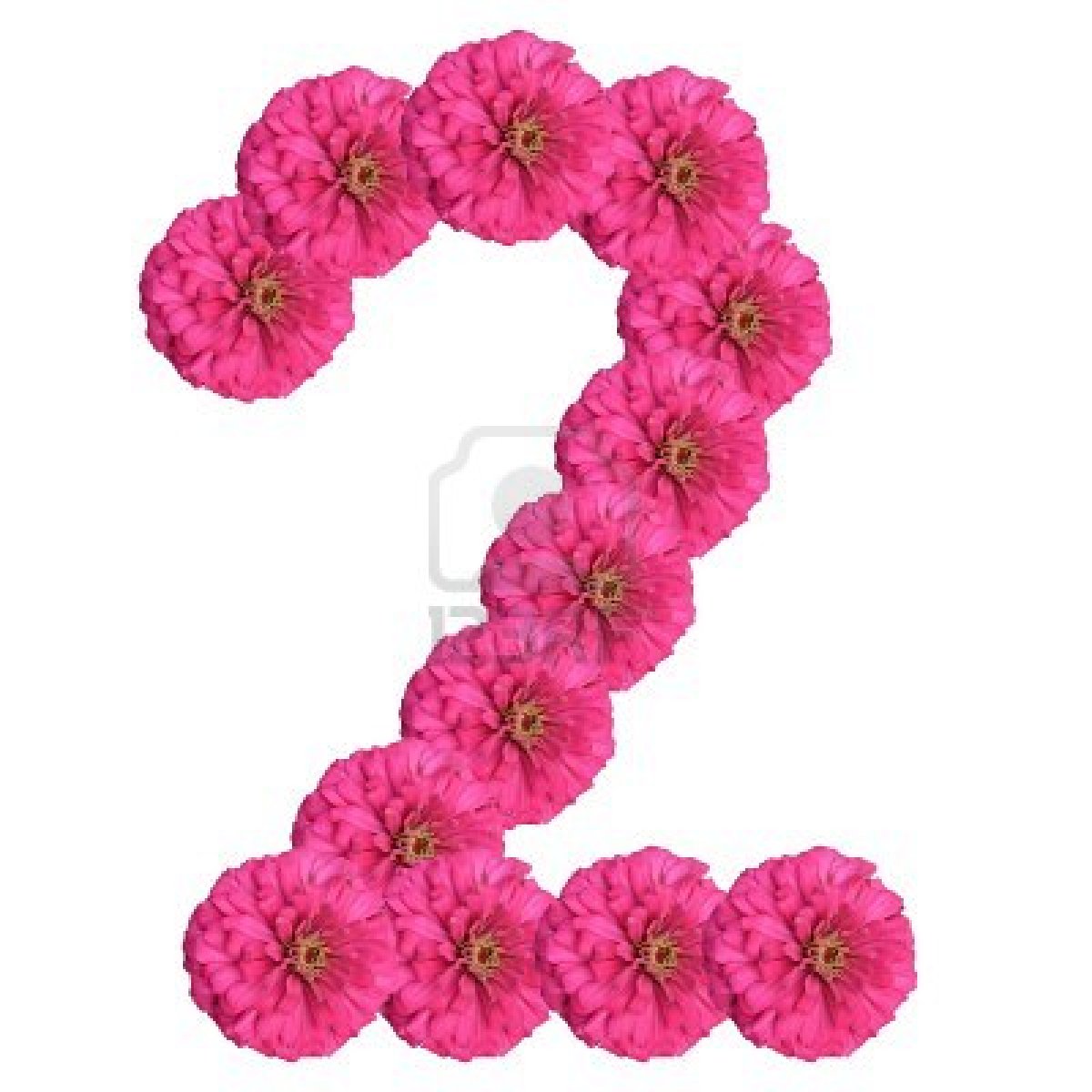 number+2+in+flowers.jpg