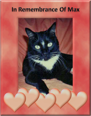 We love you and miss you so much, Max ...