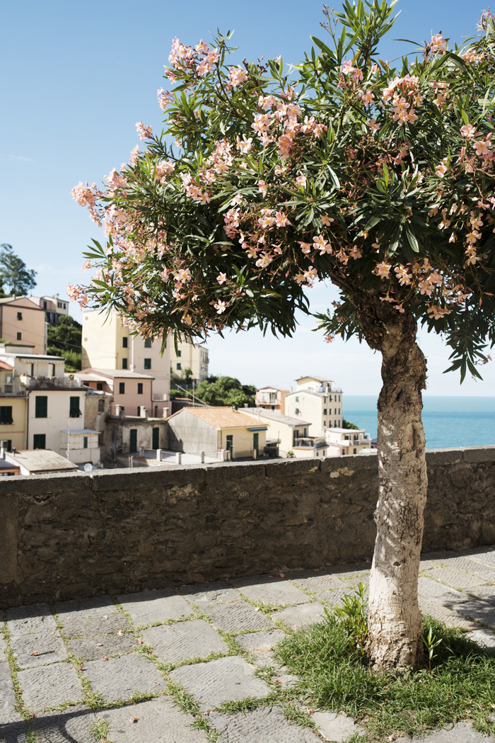 Riomaggiore, Cinque Terre © Natasha Calhoun via Beautifully, Suddenly