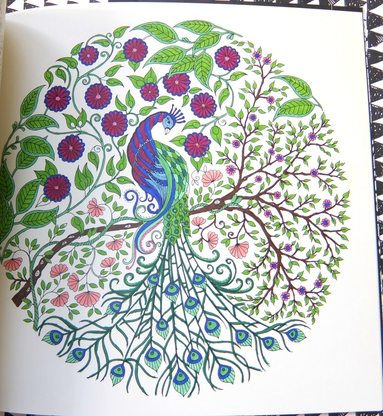 Adult Colouring Books Review Johanna Basfords Secret Garden