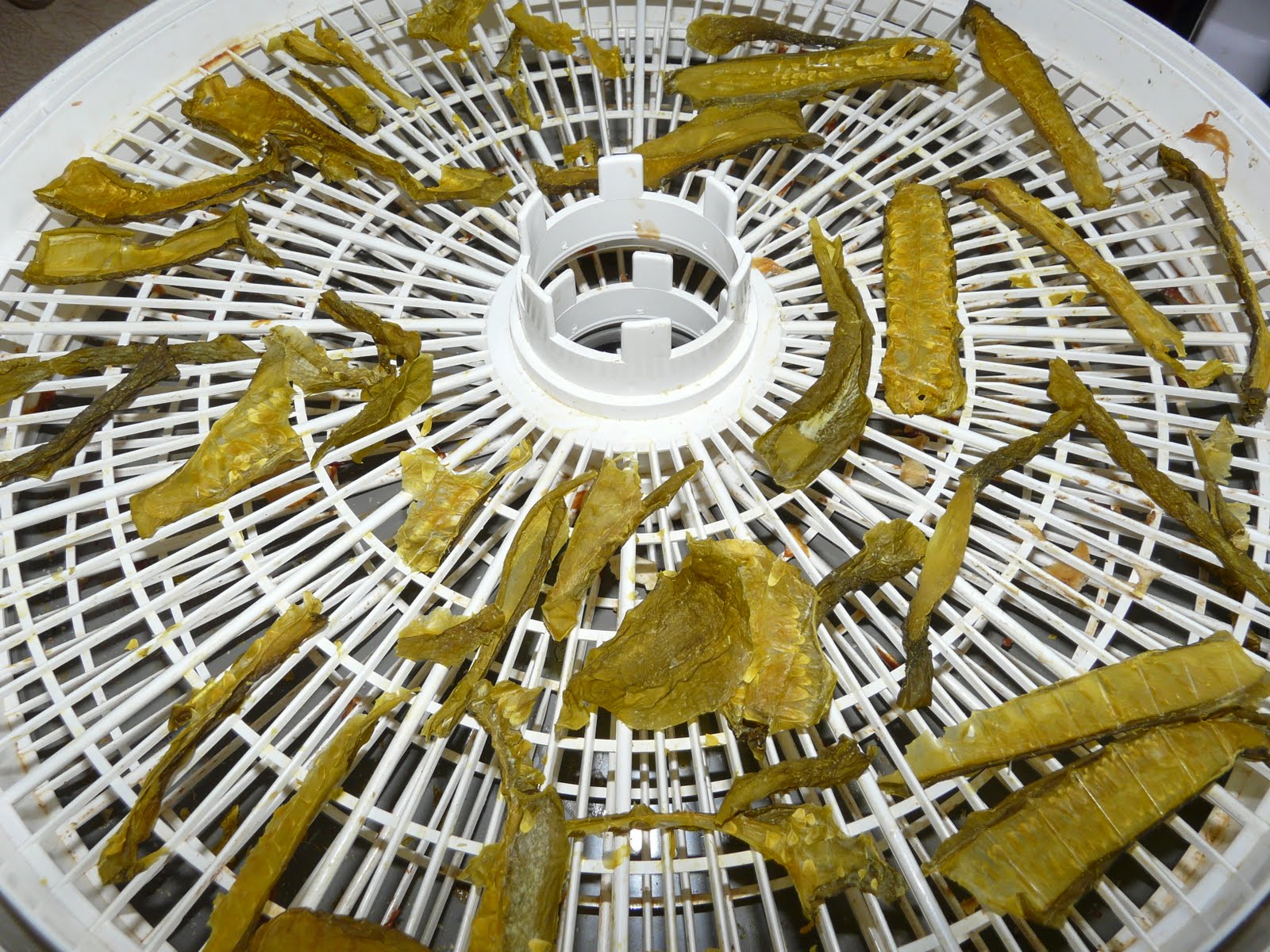 The "Secret" is Gratitude Dehydrated Pickles Yes, Really