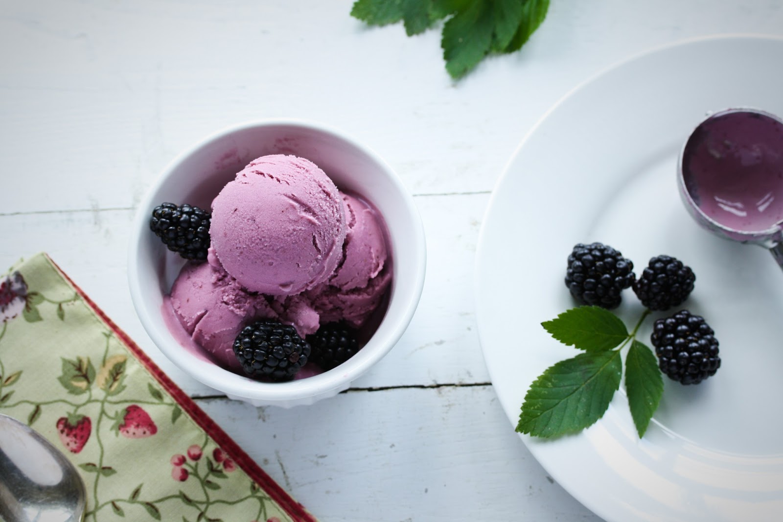 Blackberry Frozen Yogurt Saving Room for Dessert