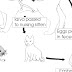 Cat - Cat Life Cycle
