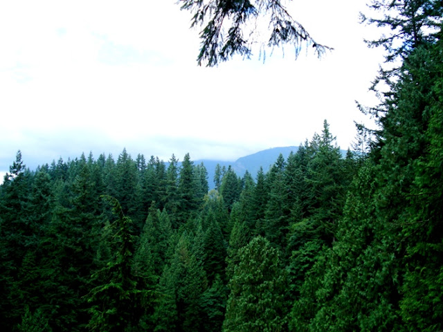 Capilano Cliffwalk Vancouver BC Capilano Cliffwalk Vancouver BC