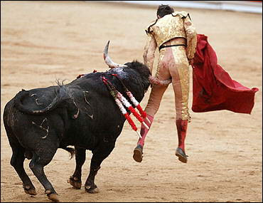 matador bull fight