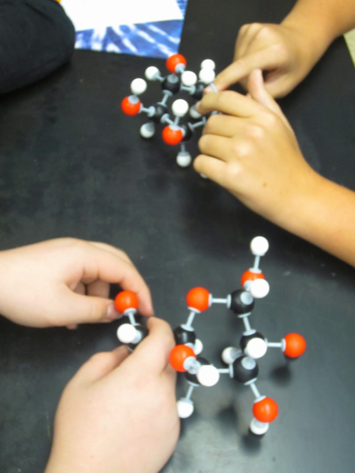 EC Honors Biology Condensation reactions