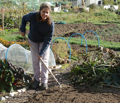 Belinda hoeing the area ready for garlic