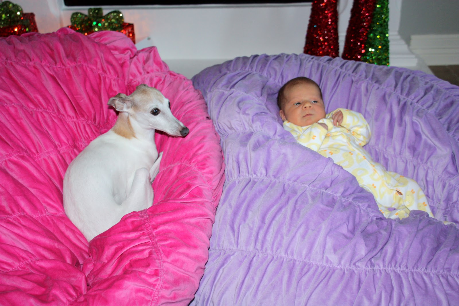Two Precious Girls Bean Bags