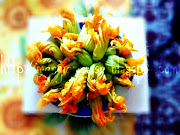 . bel pò di questi bellissimi fiori di zucca che coltiva nel suo orticello . (fiori)