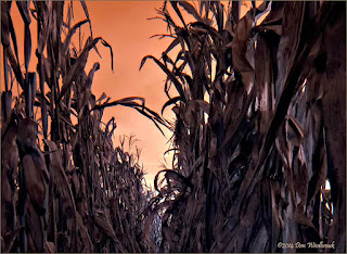 Click for larger view