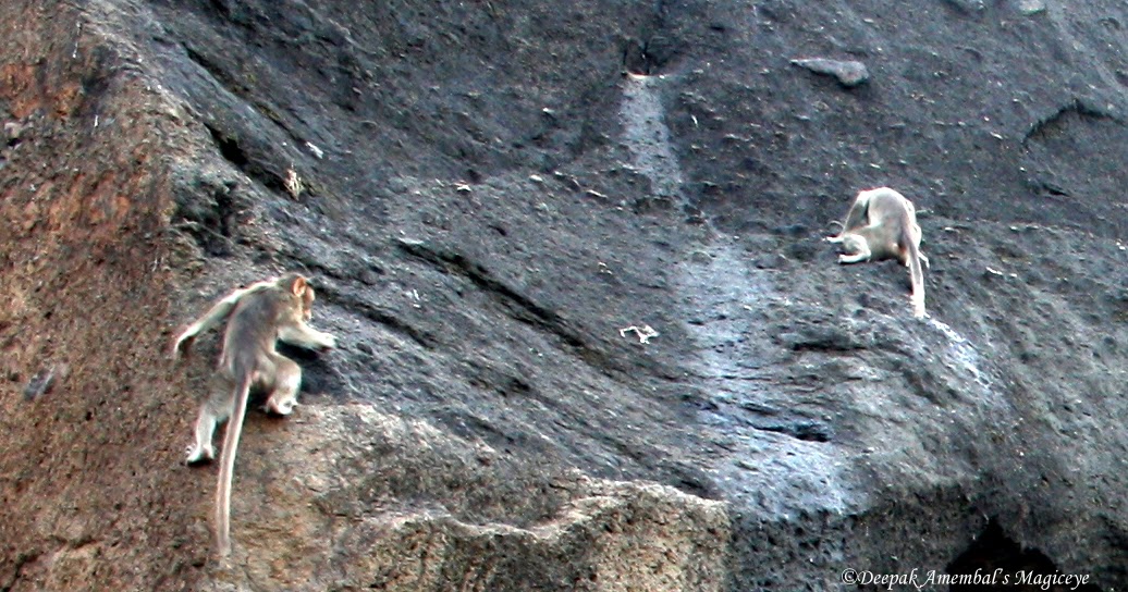 Mumbai daily Rock climbers