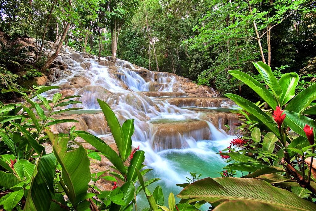 Phil Lafayette Tours Dunn's River Falls & Ocho Rios Highlight