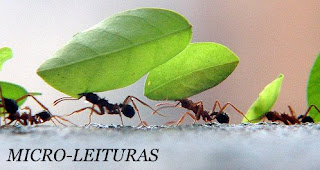 Micro-Leituras