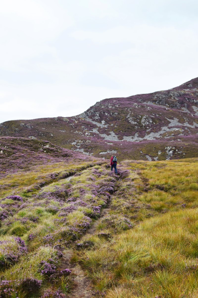 Cregennan Lakes Wales