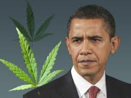 leis de maconha Obama vai leiloar toda a maconha apreendida desde 2008