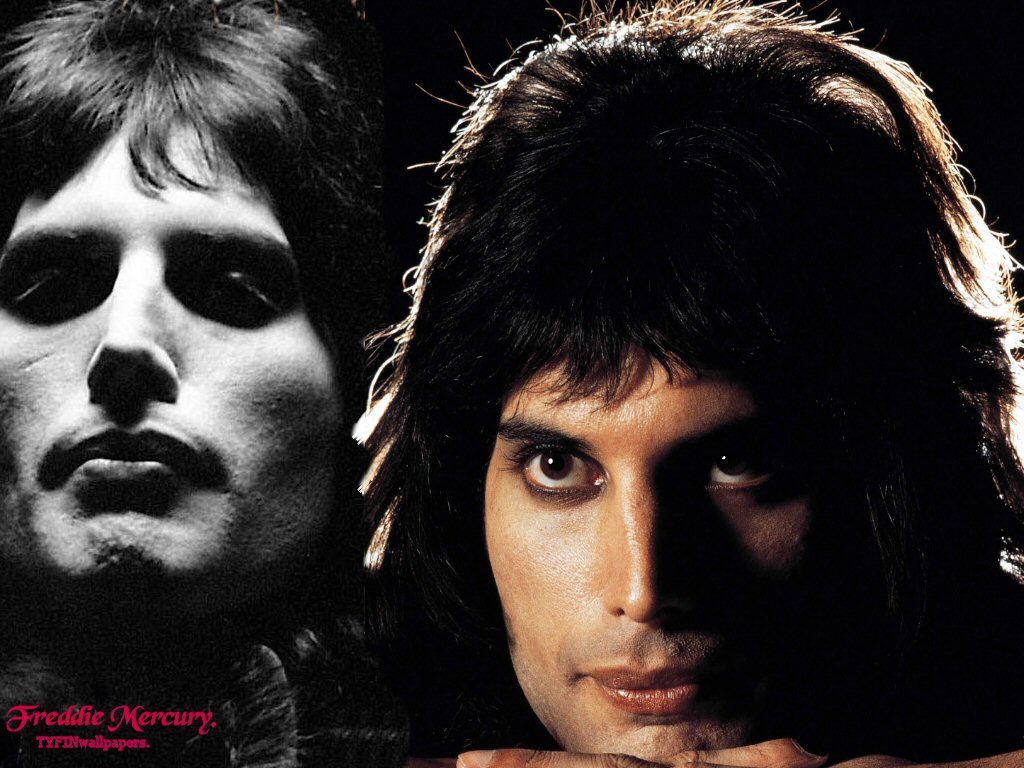 freddy mercury freddy mercury