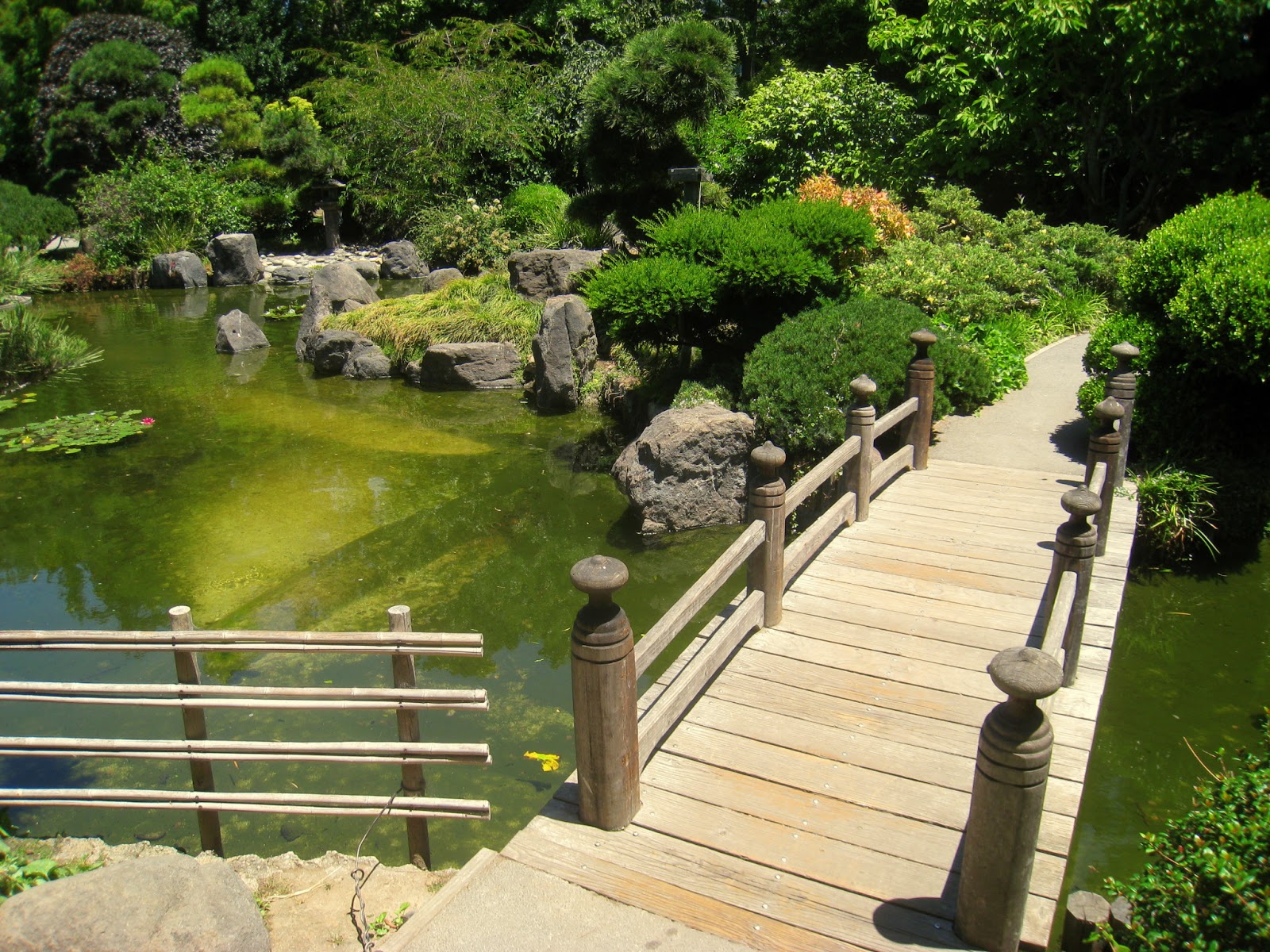 Japanese Zen Garden Small Lanscape